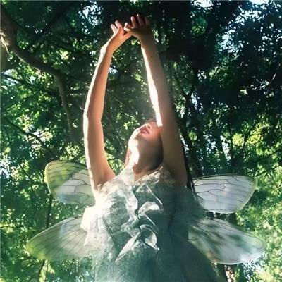 真爱的谎言之破冰者